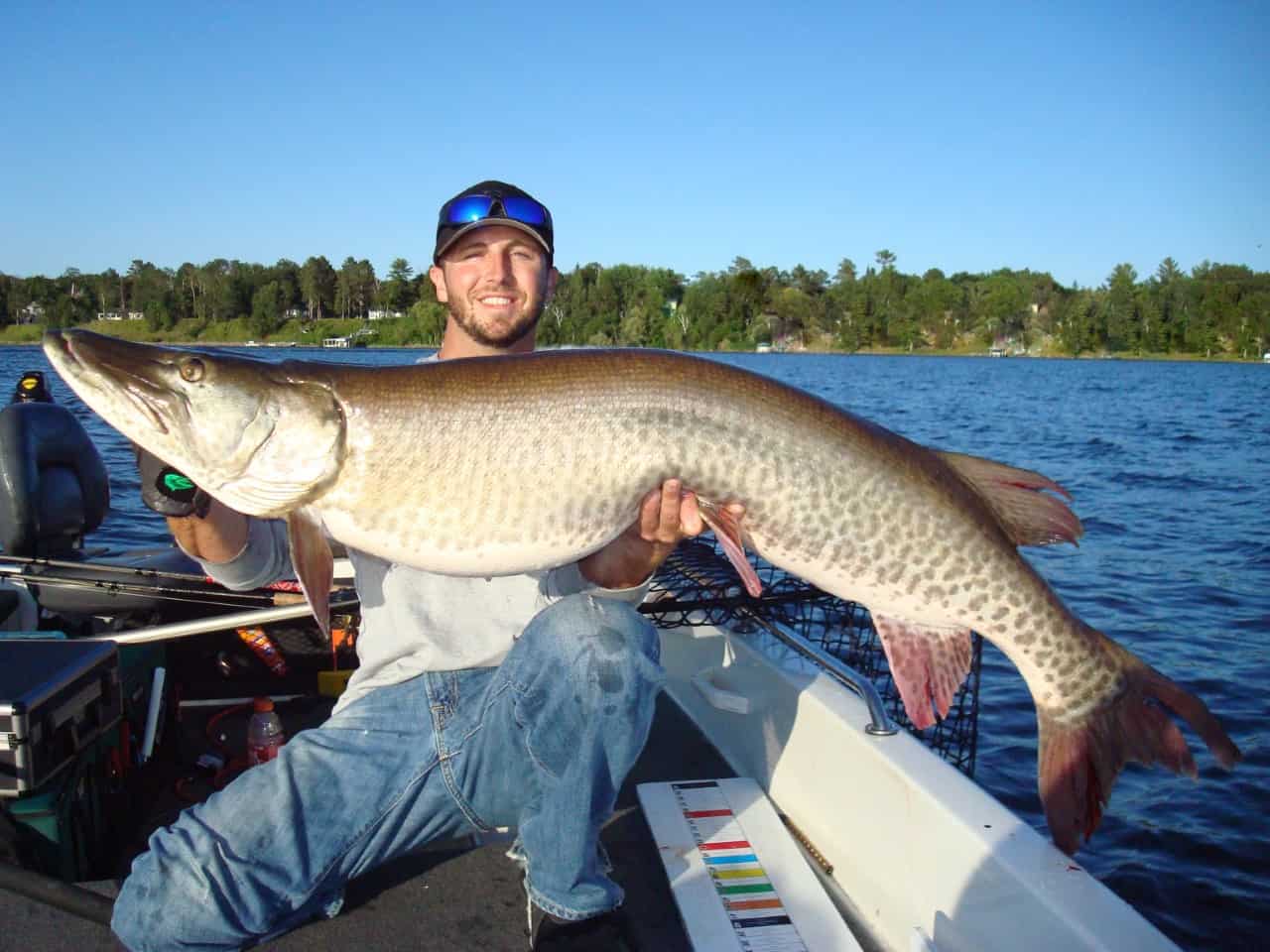 Northwoods Musky Authority Kevin Cochran's Guide Service